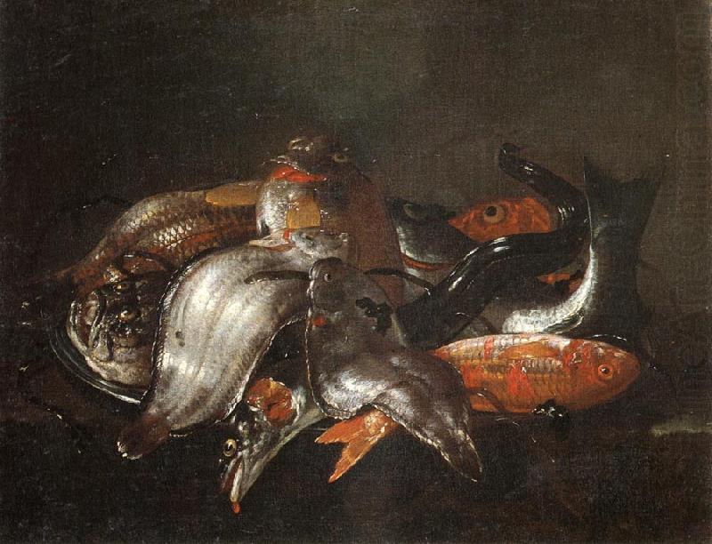 Fish, RECCO, Giuseppe